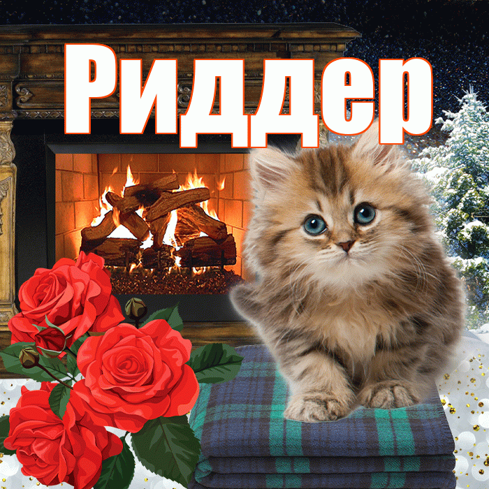 Риддер! Доброго зимнего вечера! Красивая открытка Риддеру!