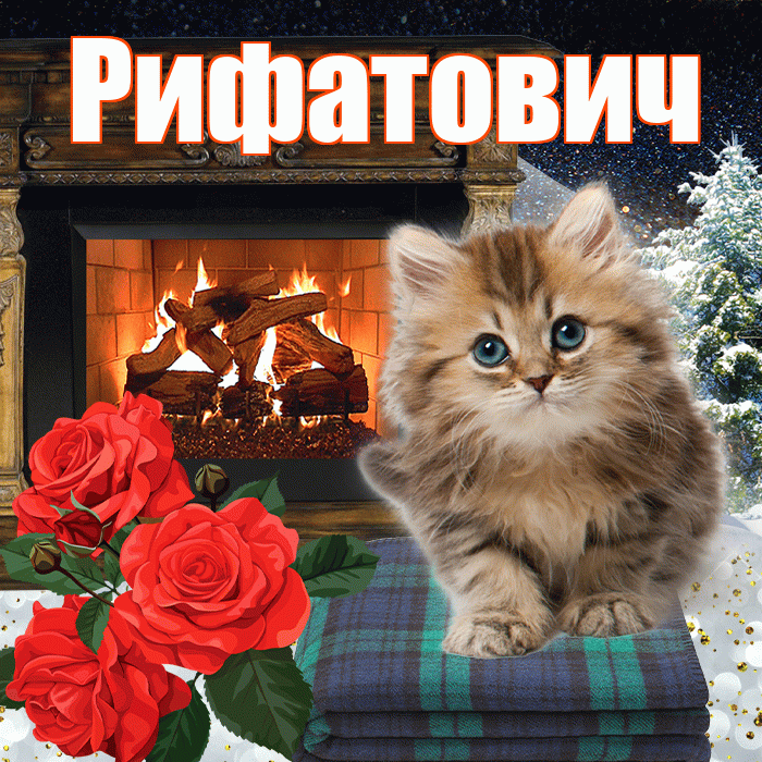 Рифатович! Доброго зимнего вечера! Красивая открытка Рифатовичу!