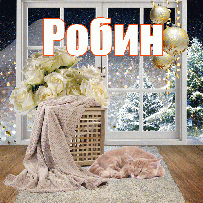 Робин! Доброго зимнего вечера! Красивая открытка Робину!