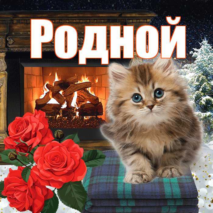 Родной! Доброго зимнего вечера! Красивая открытка Родному!
