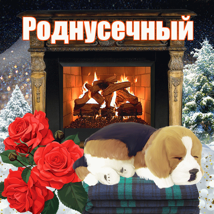 Роднусечный! Доброго зимнего вечера! Красивая открытка !