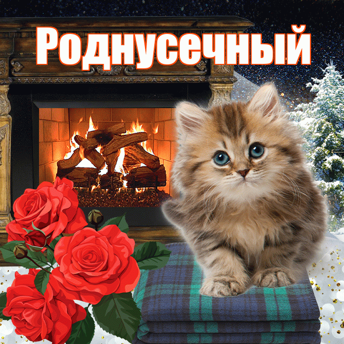 Роднусечный! Доброго зимнего вечера! Красивая открытка !