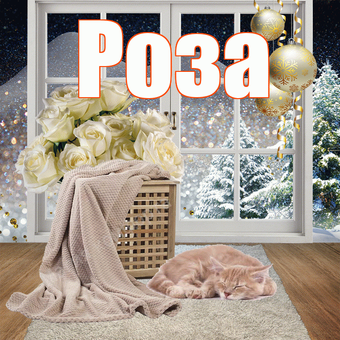 Роза! Доброго зимнего вечера! Красивая открытка Розе!