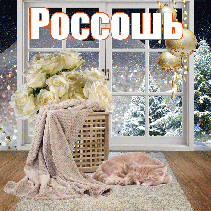 Россошь! Доброго зимнего вечера! Красивая открытка Россошю!