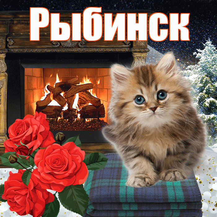 Рыбинск! Доброго зимнего вечера! Красивая открытка Рыбинску!