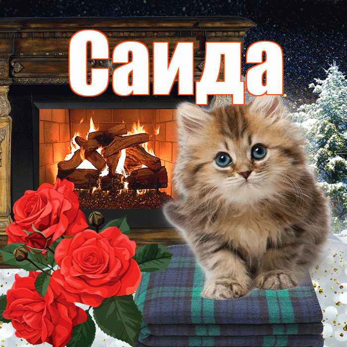 Саида! Доброго зимнего вечера! Красивая открытка Саиде!