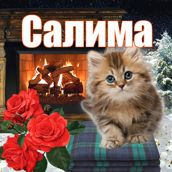 Салима! Доброго зимнего вечера! Красивая открытка Салиме!