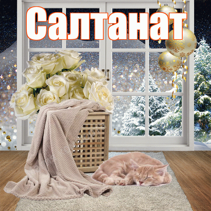 Салтанат! Доброго зимнего вечера! Красивая открытка Салтанат!