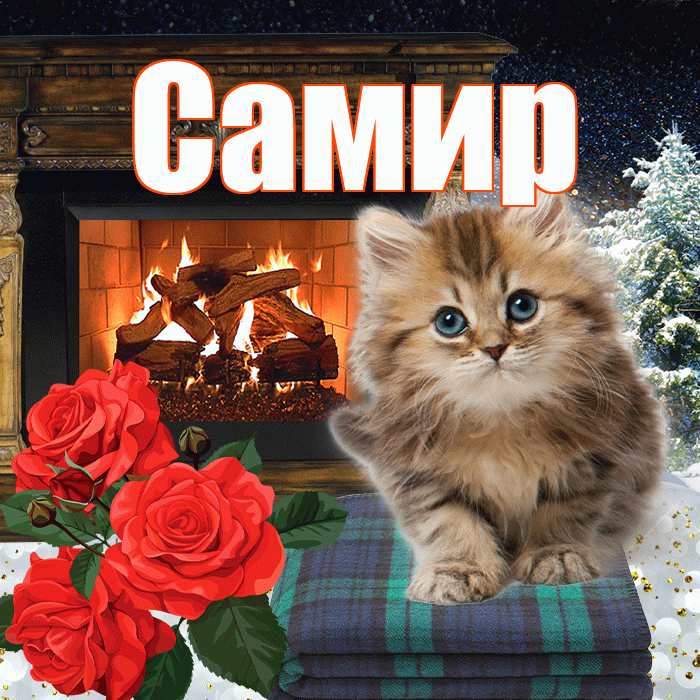 Самир! Доброго зимнего вечера! Красивая открытка Самиру!