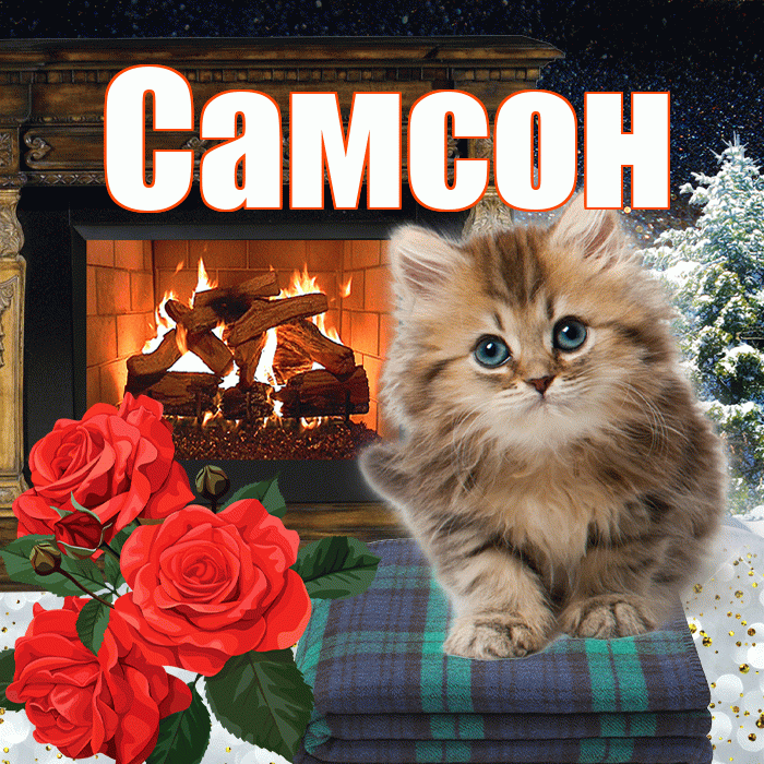 Самсон! Доброго зимнего вечера! Красивая открытка Самсону!
