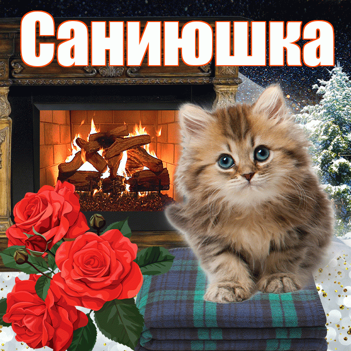 Саниюшка! Доброго зимнего вечера! Красивая открытка !