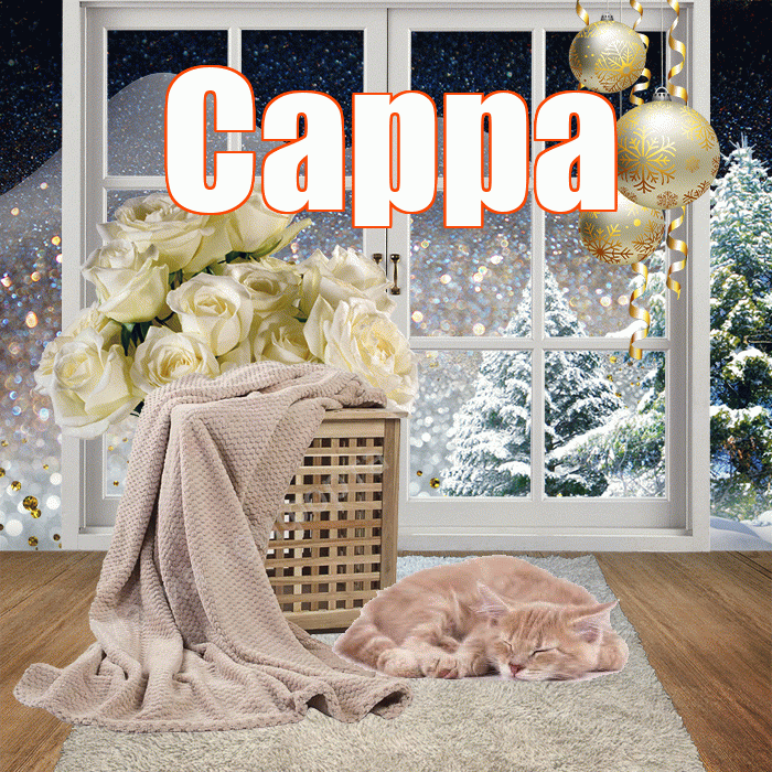 Сарра! Доброго зимнего вечера! Красивая открытка Сарре!