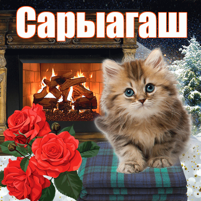 Сарыагаш! Доброго зимнего вечера! Красивая открытка Сарыагашу!