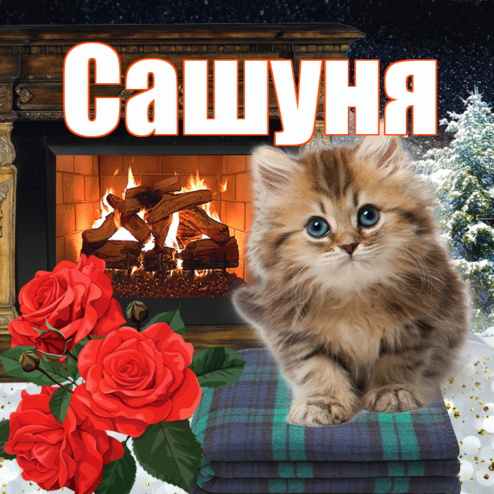 Сашуня! Доброго зимнего вечера! Красивая открытка !