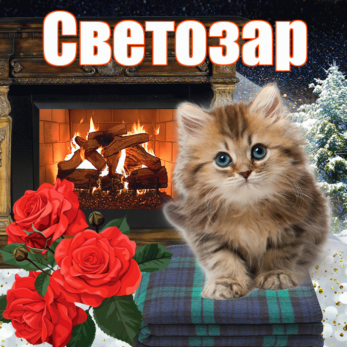 Светозар! Доброго зимнего вечера! Красивая открытка Светозару!