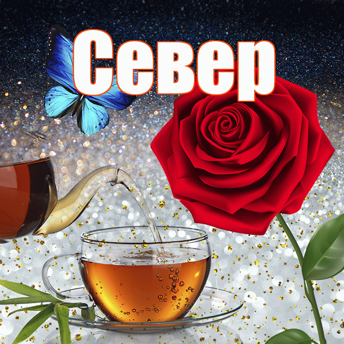 Север! Доброго зимнего вечера! Красивая открытка Северу!