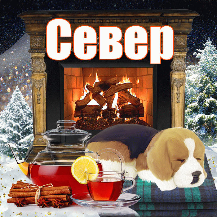 Север! Доброго зимнего вечера! Красивая открытка Северу!