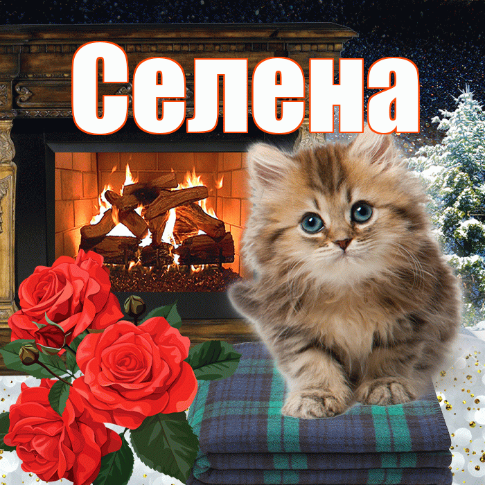 Селена! Доброго зимнего вечера! Красивая открытка Селене!