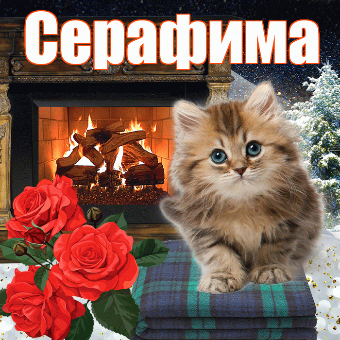 Серафима! Доброго зимнего вечера! Красивая открытка Серафимовне!