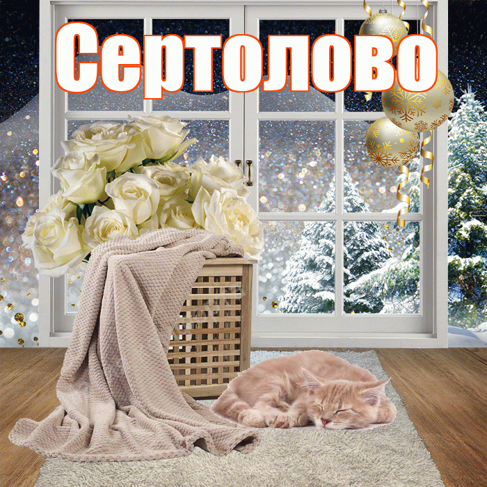 Сертолово! Доброго зимнего вечера! Красивая открытка Сертолово!