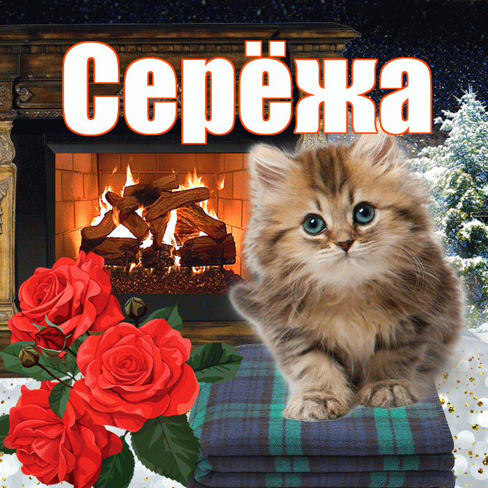 Серёжа! Доброго зимнего вечера! Красивая открытка !