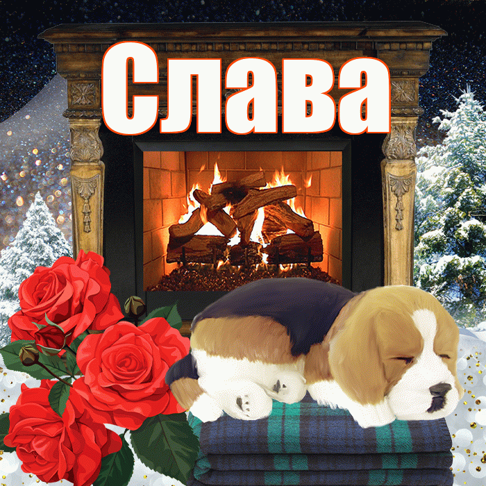 Слава! Доброго зимнего вечера! Красивая открытка Славе!