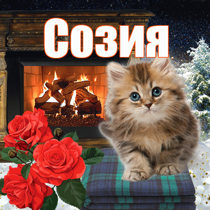 Созия! Доброго зимнего вечера! Красивая открытка Созии!