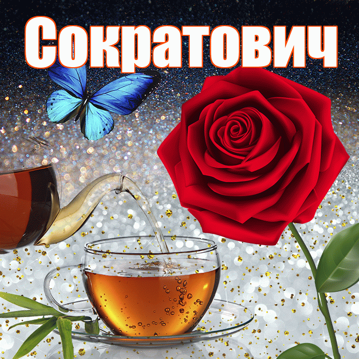 Сократович! Доброго зимнего вечера! Красивая открытка Сократовичу!