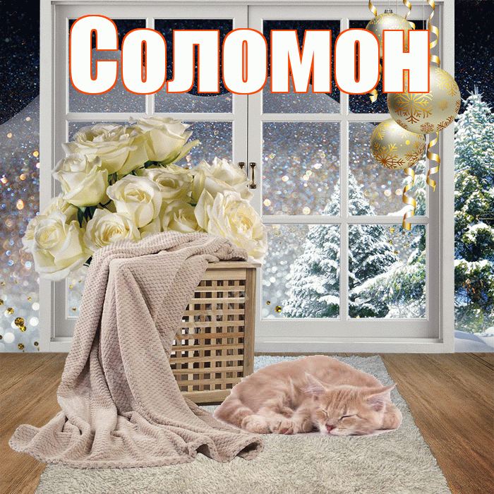 Соломон! Доброго зимнего вечера! Красивая открытка Соломону!