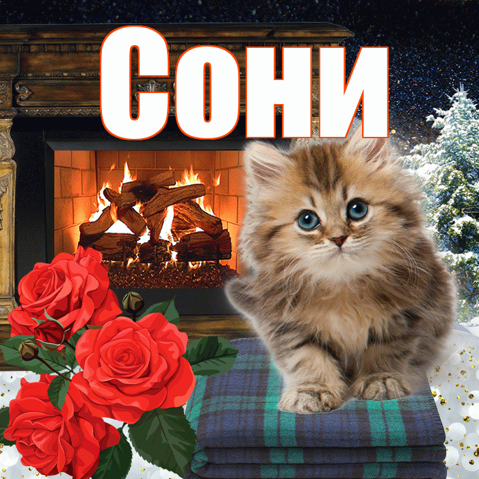 Сони! Доброго зимнего вечера! Красивая открытка !