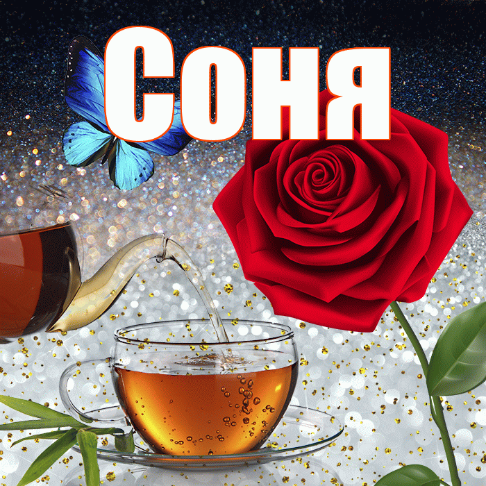 Соня! Доброго зимнего вечера! Красивая открытка Соне!