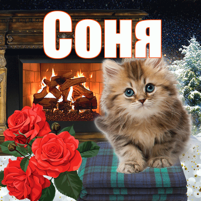 Соня! Доброго зимнего вечера! Красивая открытка Соне!