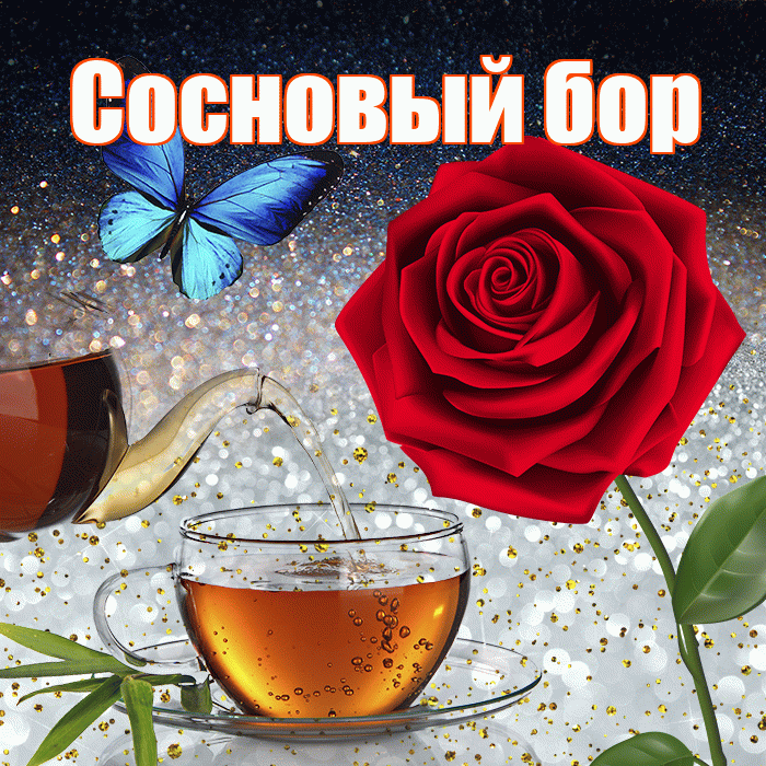 Сосновый бор! Доброго зимнего вечера! Красивая открытка !