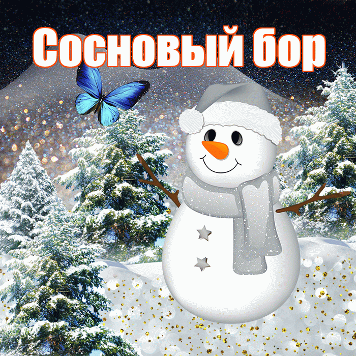 Сосновый бор! Доброго зимнего вечера! Красивая открытка !