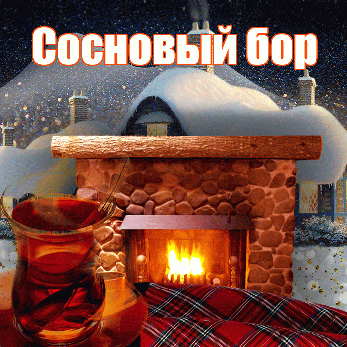 Сосновый бор! Доброго зимнего вечера! Красивая открытка !