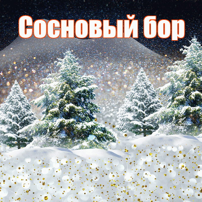 Сосновый бор! Доброго зимнего вечера! Красивая открытка !