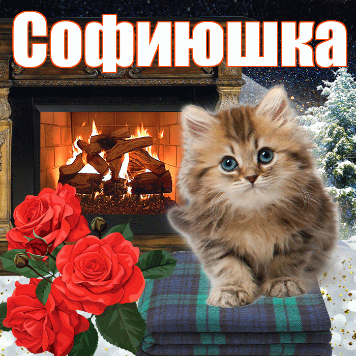 Софиюшка! Доброго зимнего вечера! Красивая открытка !
