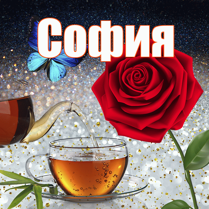София! Доброго зимнего вечера! Красивая открытка Софии!