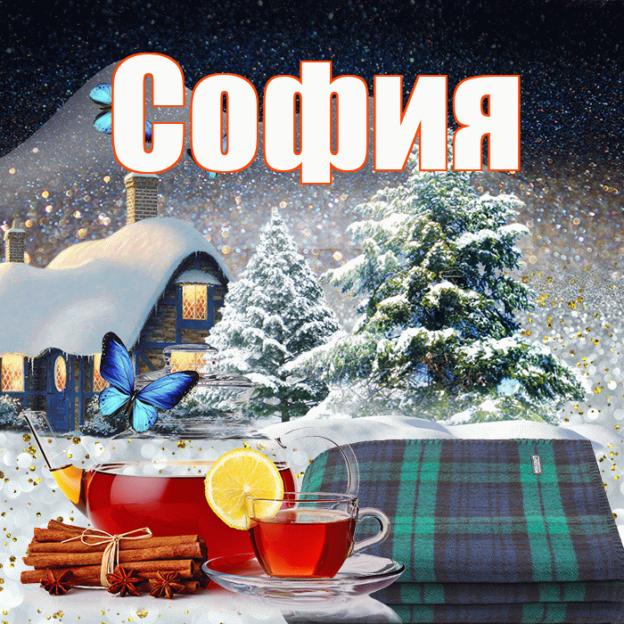 София! Доброго зимнего вечера! Красивая открытка Софии!