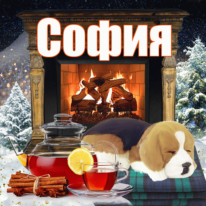 София! Доброго зимнего вечера! Красивая открытка Софии!