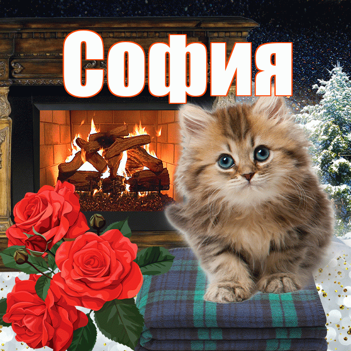 София! Доброго зимнего вечера! Красивая открытка Софии!