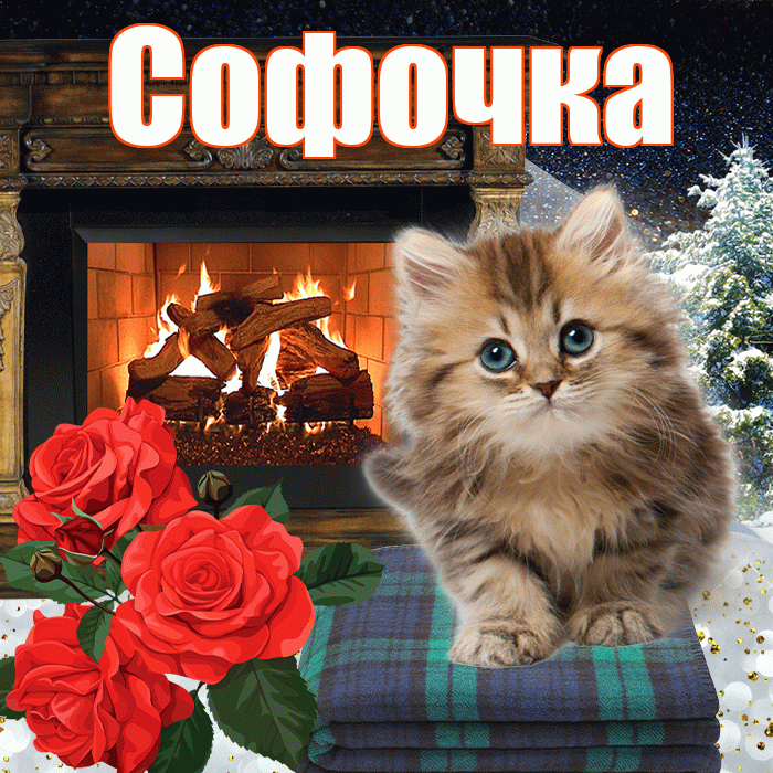Софочка! Доброго зимнего вечера! Красивая открытка !
