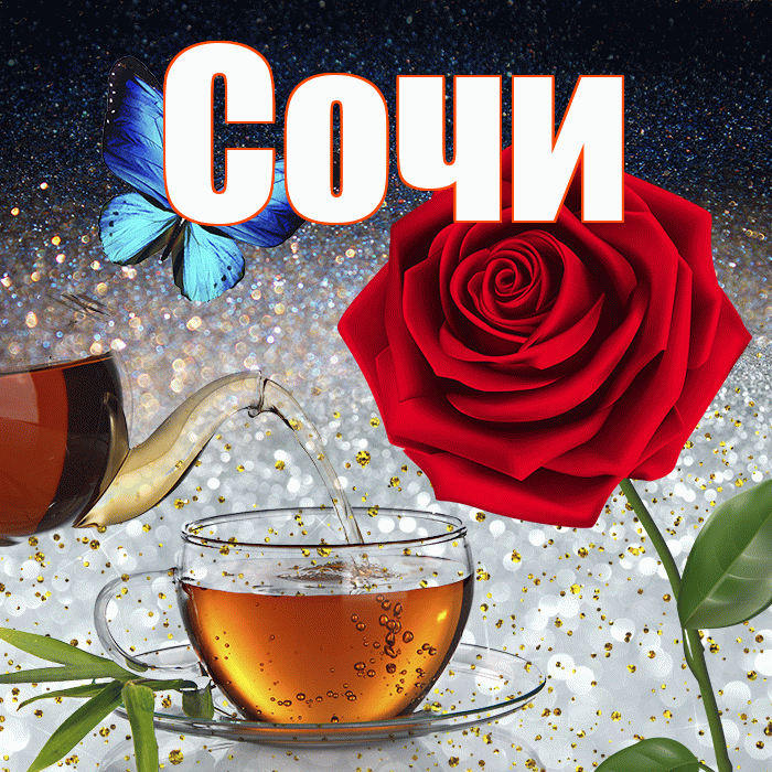 Сочи! Доброго зимнего вечера! Красивая открытка Сочи!