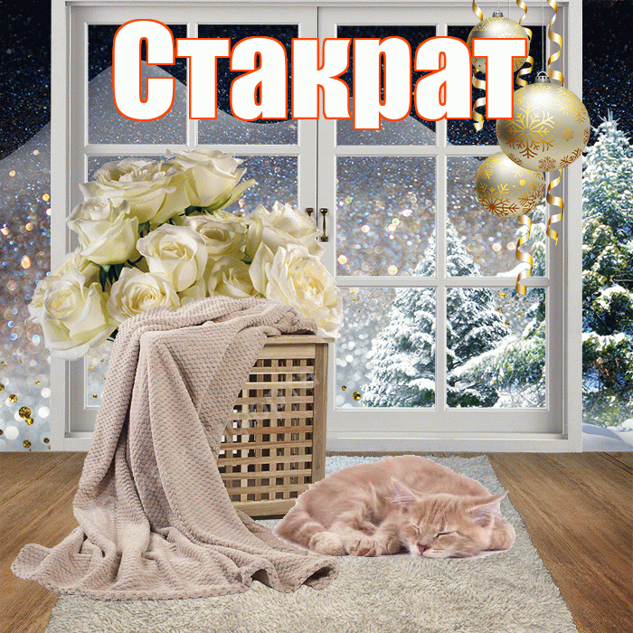 Стакрат! Доброго зимнего вечера! Красивая открытка Стакрату!