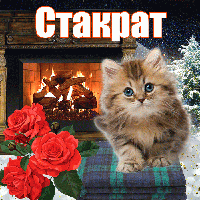 Стакрат! Доброго зимнего вечера! Красивая открытка Стакрату!