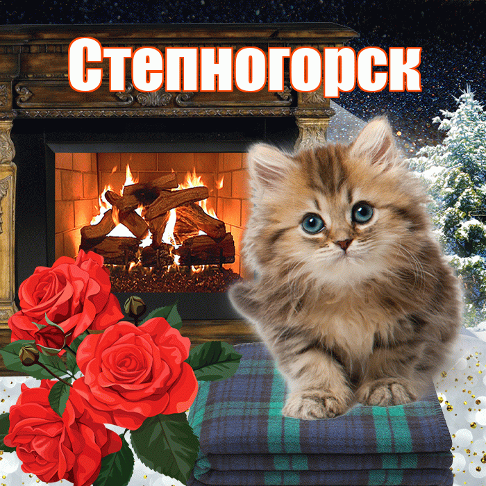 Степногорск! Доброго зимнего вечера! Красивая открытка Степногорску!