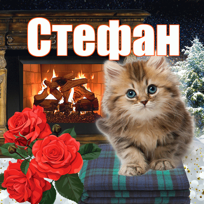 Стефан! Доброго зимнего вечера! Красивая открытка Стефану!