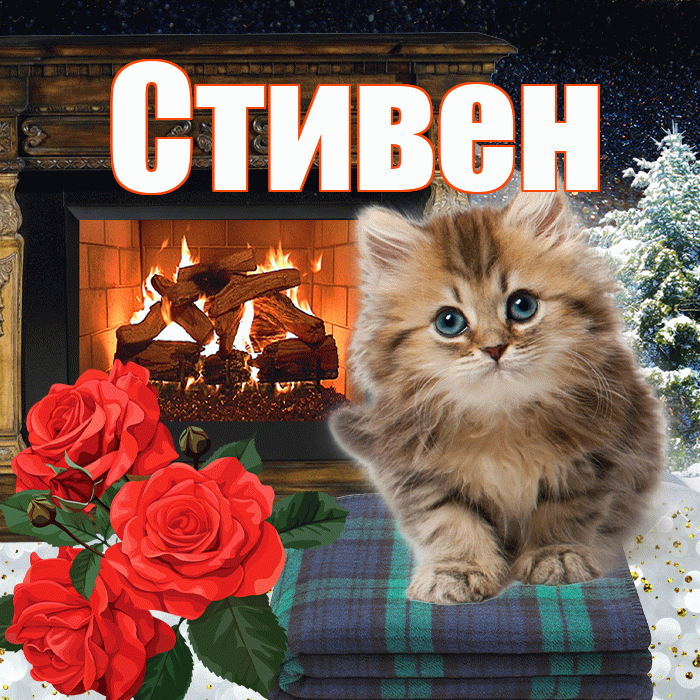 Стивен! Доброго зимнего вечера! Красивая открытка Стивену!