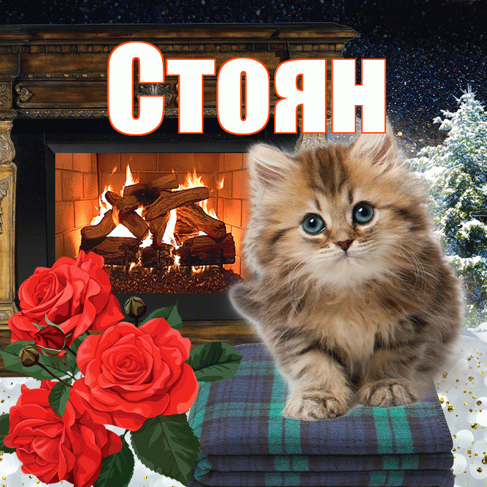 Стоян! Доброго зимнего вечера! Красивая открытка Стоявшему!