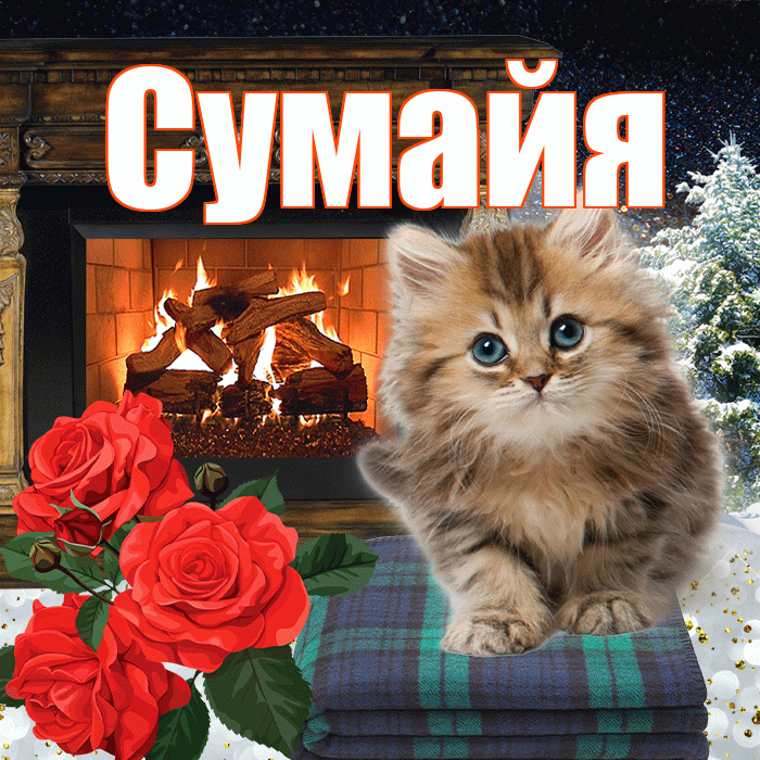 Сумайя! Доброго зимнего вечера! Красивая открытка Сумайе!